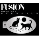 Fusion Stencils