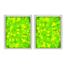 Vivid Gleam ELECTROSHOCK navulling (2 x 8 gram)