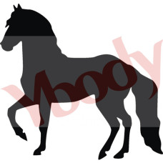Y-body sjabloon Mustang