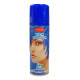 HAARSPRAY  Glitters/Kleur