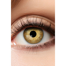 Lenzen Golden Sparkle (12 maandslenzen) 37158