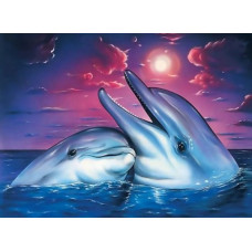                                       ACTIE  Diamond painting DOLFIJNEN 2 30 x 40 cm.
