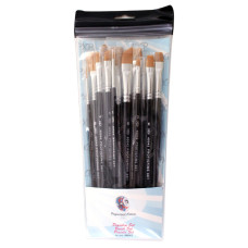 ACTIE PXP  penselen set 15 stuks